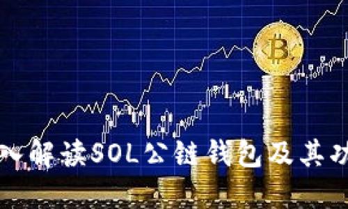 深入解读SOL公链钱包及其功能