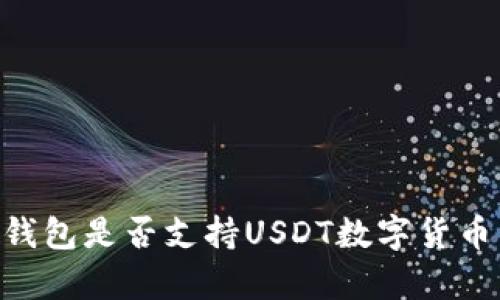 Token.im钱包是否支持USDT数字货币：完整解析