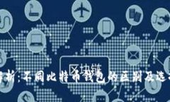 全面解析：不同比特币钱