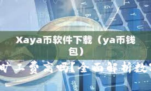 币信钱包USDT旷工费高吗？全面解析数字货币交易费用