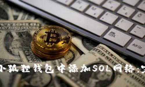 如何在小狐狸钱包中添加SOL网络：完整指南