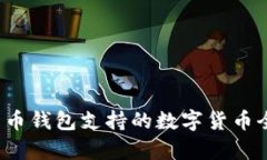  比特币钱包支持的数字货
