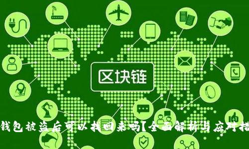 TP钱包被盗后可以找回来吗？全面解析与应对措施