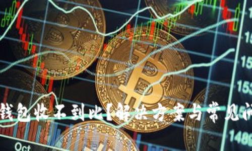 狗狗币钱包收不到比？解决方案与常见问题解析