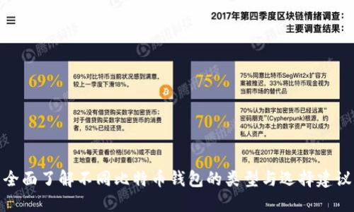全面了解不同比特币钱包的类型与选择建议
