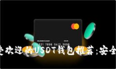 2023年最受欢迎的USDT钱包推