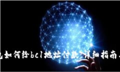 比特币钱包如何给bc1地址