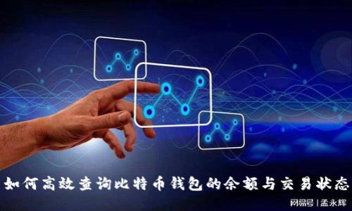 如何高效查询比特币钱包的余额与交易状态