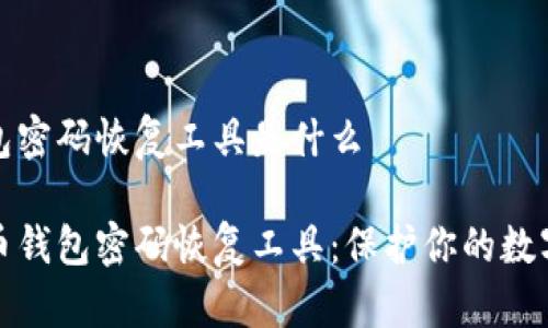 比特币钱包密码恢复工具是什么

揭秘比特币钱包密码恢复工具：保护你的数字资产安全