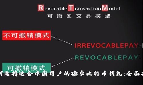 如何选择适合中国用户的安卓比特币钱包：全面指南