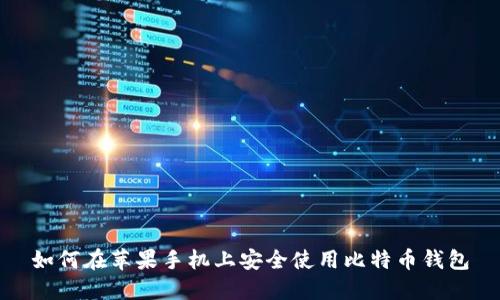 如何在苹果手机上安全使用比特币钱包