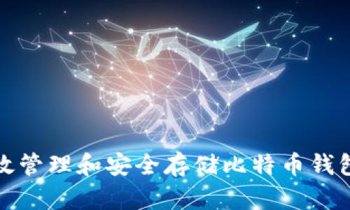 如何有效管理和安全存储比特币钱包文件夹