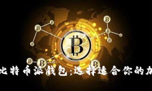 波场钱包与比特币派钱包：选择适合你的加密货币钱包