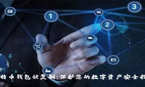 比特币钱包被复制：保护您的数字资产安全指南