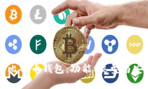 深入探索比特币钱包：功能、类型与安全性分析