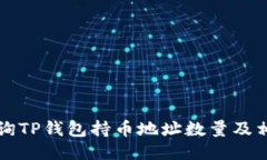 如何查询TP钱包持币地址数