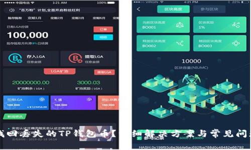 如何找回丢失的TP钱包币？详细解决方案与常见问题解析