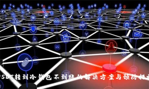 USDT转到冷钱包不到账的解决方案与预防措施