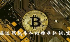 : 如何通过钱包导入比特币