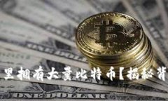 为什么有的钱包里拥有大