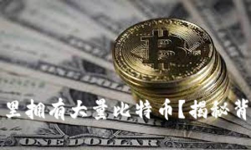 为什么有的钱包里拥有大量比特币？揭秘背后的原因与机制