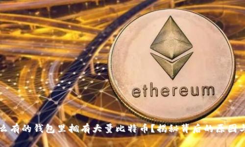 为什么有的钱包里拥有大量比特币？揭秘背后的原因与机制