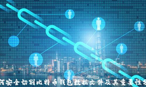 
如何安全切割比特币钱包数据文件及其重要性分析