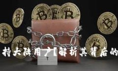为何TP钱包不支持大陆用户？解析其背后的原因与