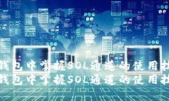 在小狐狸钱包中掌握SOL通道的使用技巧与攻略在